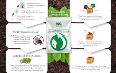 Compostable Plastic: The Breakdown
