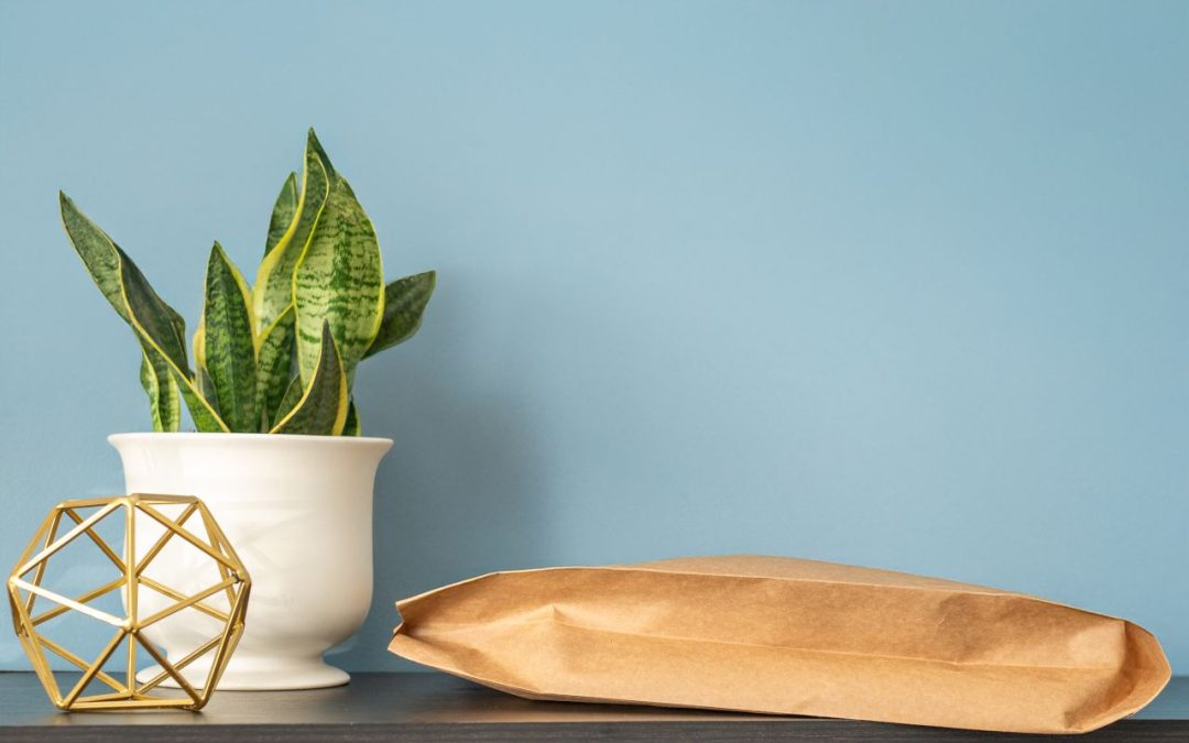 Meet Ecojacket Max: Our Latest Sustainable Shipping Solution