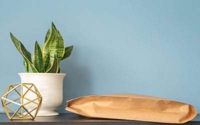 Meet Ecojacket Max: Our Latest Sustainable Shipping Solution